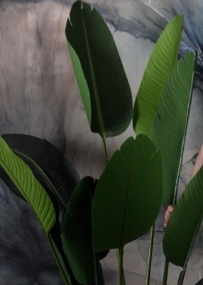 Проститутка Нора